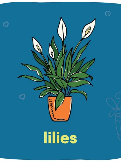 Lilies are beautiful but pose a serious threat to cats. It's crucial to keep them out of your home.