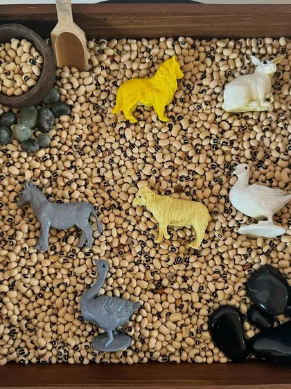 This farm-themed sensory bin features black-eyed peas and animal figurines. It’s a wonderful tool for storytelling and learning about animals, all while engaging in tactile play.
