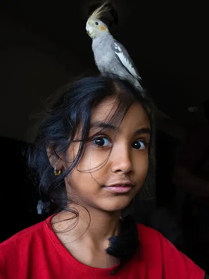 A repeat of the funny 'head perch' moment, because it's just too good not to share again.