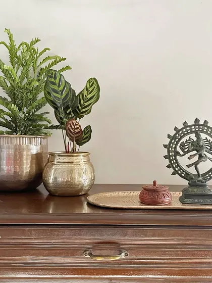 A beautiful example of how to style a console table. A combination of my metal planters and a textured brass tray creates a cohesive and elegant display, transforming an empty surface into a visual delight.