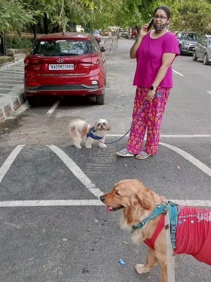 A snapshot from our daily walk. Ramya keeps a close watch on everyone while making sure they have a good time exploring the neighborhood.
