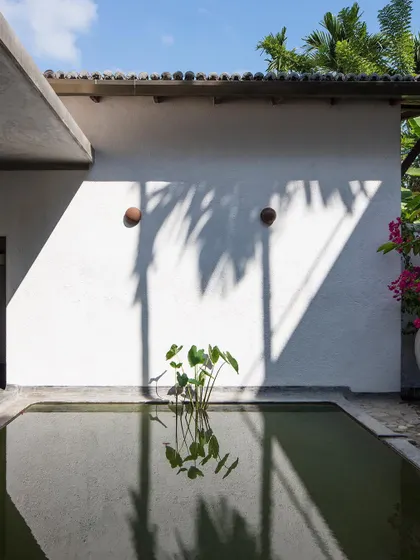 The play of light and shadow from palm fronds on a wall next to the main villa's lily pond at Jalakara.