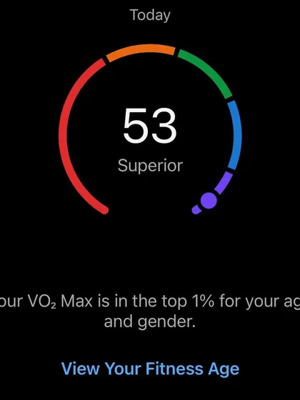 A VO2 Max of 53, placing me in the top 1%. This is a powerful motivator and a confirmation of my fitness level.