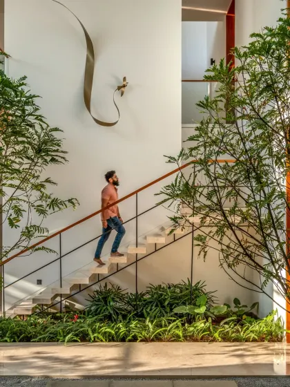 A floating staircase in the Split House, surrounded by indoor greenery that thrives under the central skylight. We believe in integrating nature throughout our homes, and this light-filled stairwell creates the feeling of walking through a garden as you move between floors.