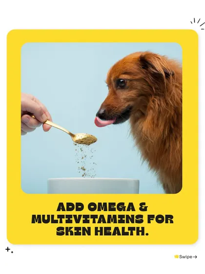 A healthy coat starts from within. Adding Omega and multivitamin supplements to your pet's diet can significantly improve their skin and coat health, making it shiny and strong.