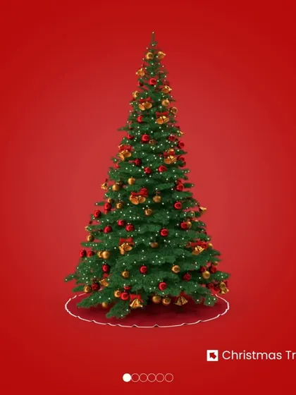 A beautiful Christmas tree is the centerpiece of your celebration. After the holidays, instead of trying to fit it in a closet, let me store it safely for you.