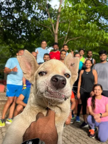 Pollyappa the photobomber strikes again. This dog's smile is infectious and always brightens our post-run pictures.