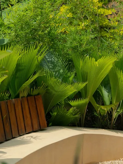 **Playfold, Ahmedabad:** A close-up view of the lush planting against the smooth terrazzo bench and warm wooden backrest. The material and plant selection was key to creating a rich, sensory experience.