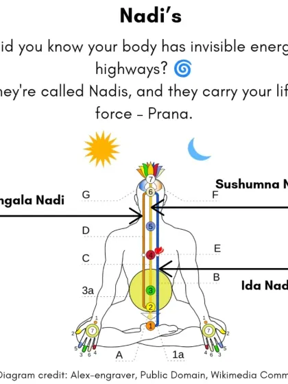 Did you know your body has invisible energy highways? They are called Nadis, and they carry your life-force, or Prana. The three main nadis are Ida, Pingala, and Sushumna.