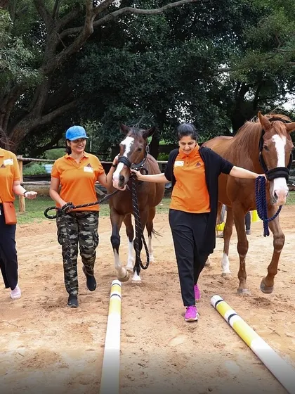 Team members from Embassy Group lead our gentle foals through an obstacle course. This activity fosters teamwork, patience, and empathy in a fun and engaging way.