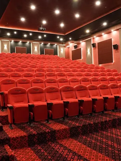 A duplicate of 254, this image again showcases the professional, stadium-style seating arrangement.