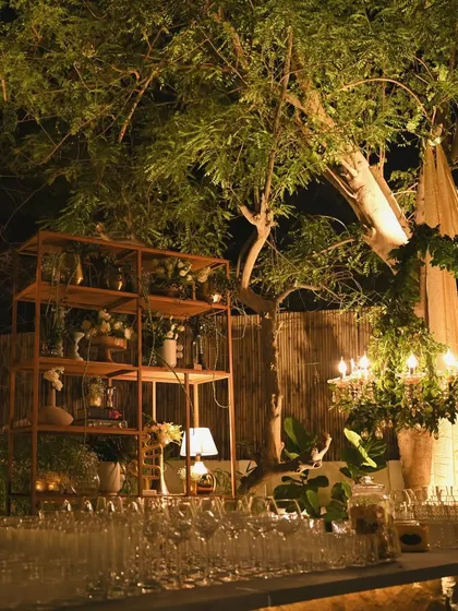 A full view of the rustic bar and decor setup for an outdoor event. We used wooden shelves for display, a greenery-adorned chandelier, and draped fabrics on the trees to create a cohesive, bohemian look.