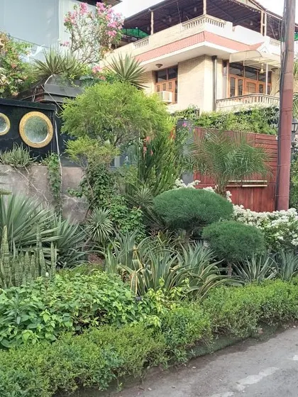 A view of the lush front garden I designed for a home in Noida. The design uses a mix of plant heights, textures, and shapes, including topiary shrubs and large agave plants, to create a rich and dynamic entrance.