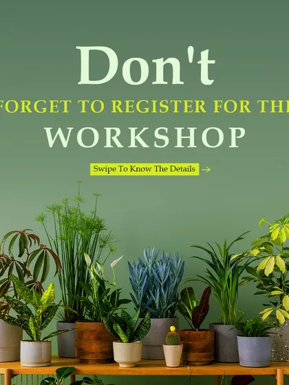 Don't forget to register for our free workshops. We cover a range of topics to help you become a more confident and successful plant parent.