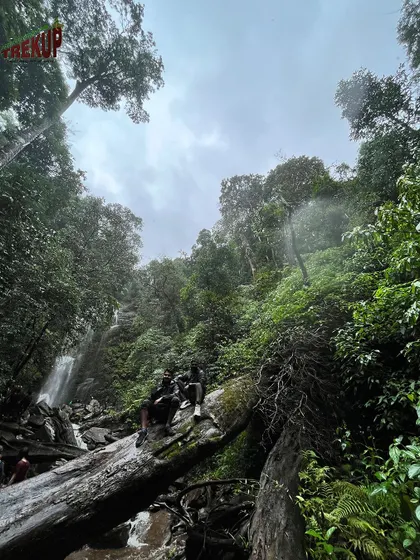 Trekkers resting on a fallen log near Hidlumane falls, taking in the serene forest atmosphere.