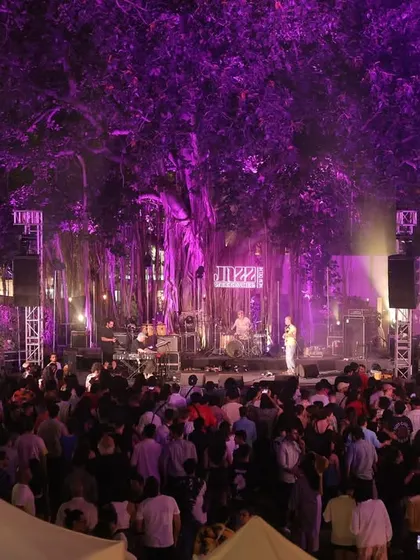 This is what it's all about. The Jazz Weekender main stage, set under a massive banyan tree, with the entire space lit up and a crowd fully immersed in the music. We build these large scale festival experiences from the ground up to create a real community vibe.