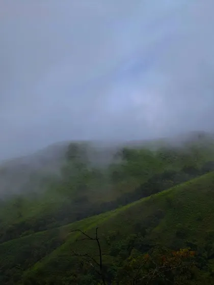 The fog rolling over the vibrant green hills of Netravathi, creating a stunning and dynamic landscape.