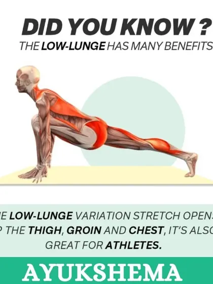 An anatomical illustration of the Low Lunge, showing the muscles being stretched in the thigh and groin area.