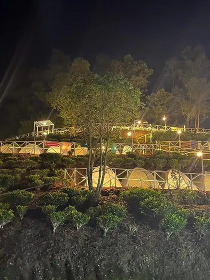 Our campsite in Munnar, beautifully lit up at night. We stay in comfortable tents nestled right in the tea gardens.