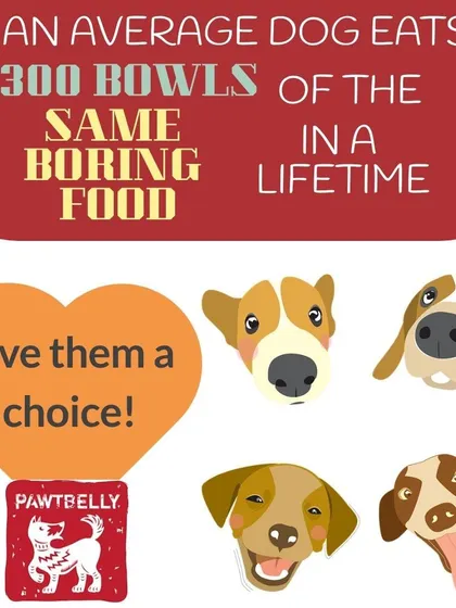 Imagine eating the same dry, boring food for your entire life. We think dogs deserve better. Our varied meal plans give your dog a choice and a reason to get excited for every single bowl.