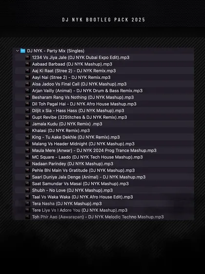 The tracklist for the 'Party Mix' singles from the 2025 Bootleg Pack. This includes many of my high energy mashups and remixes, like my takes on 'Arjan Vailly' and 'Jamala Kudu'.