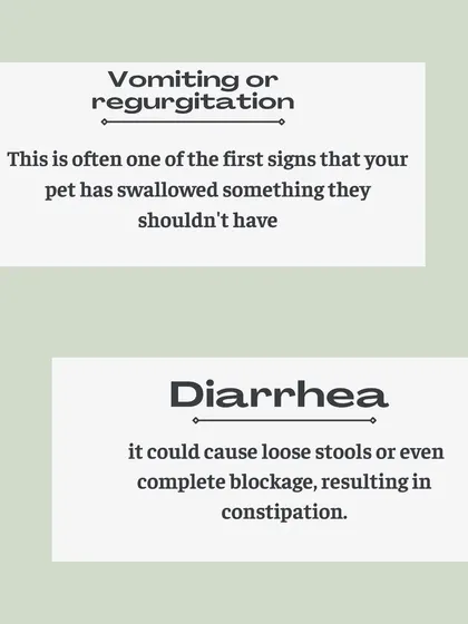 Vomiting and diarrhea are often the first signs that your pet has ingested a foreign object. It's their body's way of trying to expel it.