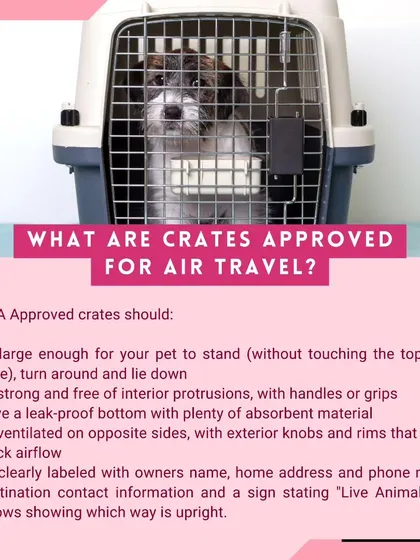 This graphic explains the key features of IATA-approved travel crates. We ensure every crate is the right size, well-ventilated, secure, and properly labeled for your pet's safety and comfort.