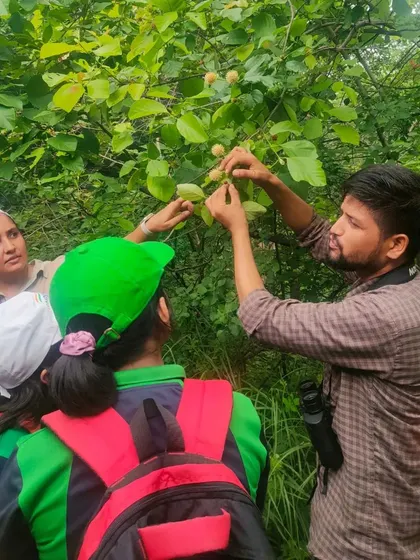 Our expert shows students the unique fruit of a native Marodphali plant during their educational walk through the park.