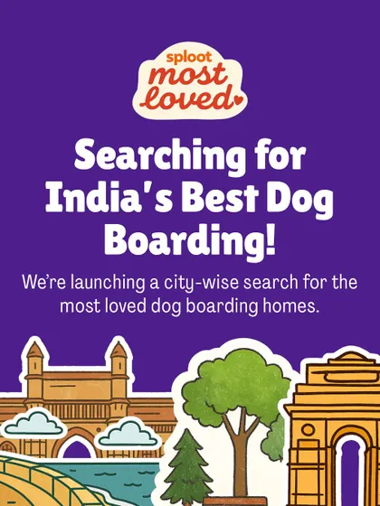 Our search for the best dog boarding homes in India continues. This graphic illustrates our commitment to finding top-tier, community-approved options across the country.