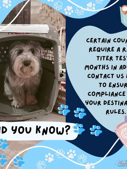 Did you know that some countries require a rabies titer test to be done up to 3 months in advance of travel? It is crucial to contact us early to ensure you can comply with your destination's specific rules and avoid delays.