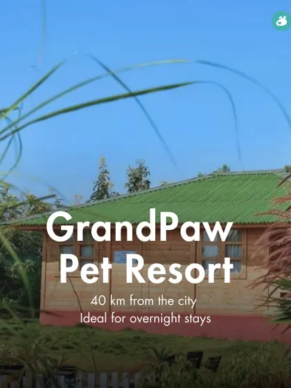GrandPaw Pet Resort is another great option for an overnight stay, located 40 km from Bangalore.