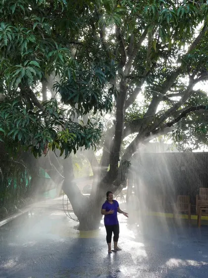 The rain dance area at our Nandi Hills resort, set under a large tree, provides a natural and refreshing setting to dance and have fun.