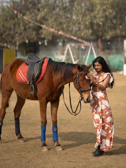 A quiet, reflective moment between the model and the horse as it lowers its head.