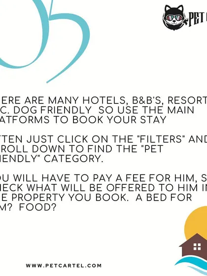 Finding pet-friendly accommodation is easier than ever. Many booking platforms have a "pet-friendly" filter to help you find hotels, B&Bs, or resorts. Always check for any associated fees or specific services offered for your pet.