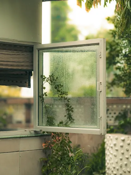 An open window on a rainy day. This shot captures the feeling of being cozy inside while watching the rain fall, a simple pleasure.
