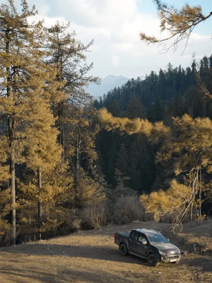 Photos of Suzuki Jimny and Ford Endeavour vehicles driving through dense pine forests and on open roads. These images showcase the capability of these vehicles in tough terrains.