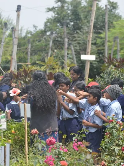 We believe that learning about nature should be an adventure. During a school field trip, students get an up-close look at different flowering plants like roses and hibiscus, learning about their life cycles.