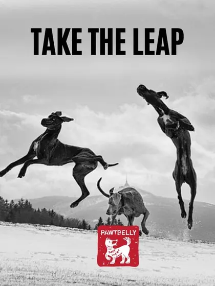 Ready to make the switch? Take the leap and see the difference for yourself. We often have special offers for first-timers to make it even easier to join the fresh food movement.
