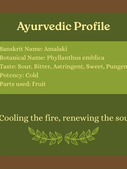 Captions for these will be educational, explaining the Ayurvedic properties and uses of plants like Neem (Nimbi) and Amla (Amalaki), or detailing aspects of the Ayurveda retreats and courses as shown in the images.