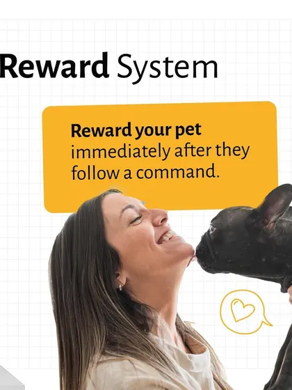 A well-timed reward makes all the difference in training. We explain that rewarding your pet immediately after a correct action helps them connect the behavior with a positive outcome.