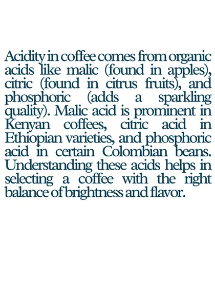 A text-based explanation of the organic acids found in coffee and the types of beans they are prominent in.