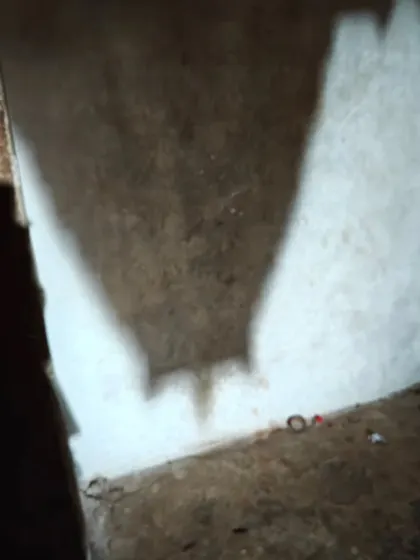 The fascinating pinhole camera effect creating an inverted shadow of the temple gopuram inside a dark chamber in Hampi.