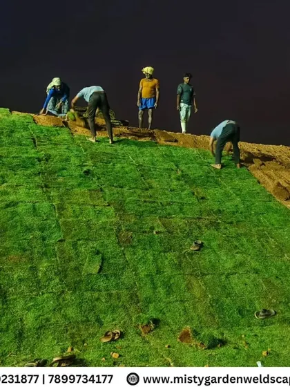 A close-up of our crew at work during the lawn installation. Each piece of turf is carefully placed to create a seamless and uniform green carpet.