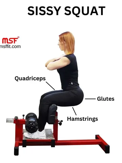 An infographic showing the primary muscles targeted during a Sissy Squat: quadriceps, glutes, and hamstrings.