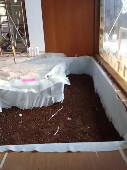 The preparation of a large indoor planter bed. The bed is lined and filled with a rich, organic soil mix, ready for planting.