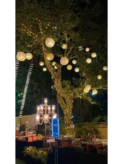 An evening view of one of my buffet setups, where the trees are decorated with glowing lanterns and fairy lights, creating a whimsical and enchanting forest theme.