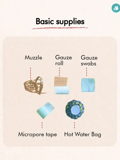 This infographic shows the basic supplies for a canine first-aid kit, including a muzzle, gauze, micropore tape, and a hot water bag. These items are essential for managing minor injuries and providing comfort.