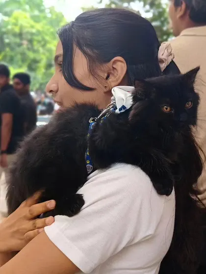 A pet parent holds her beautiful black cat on her shoulder during a community pet show.
