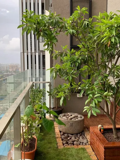 The completed Kumar's residence terrace, featuring a Chikoo tree, a pebble-filled water feature, and a fresh lawn overlooking the city.