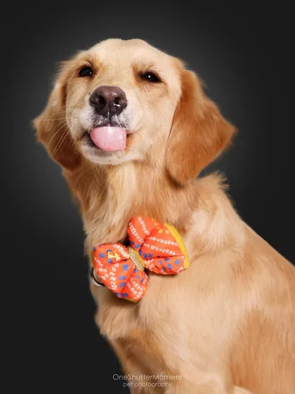 Another adorable 'blep' from Imli! It's these little quirks and expressions that make each pet's portrait unique and special.
